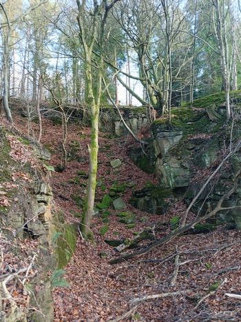 Old Quarry Workings